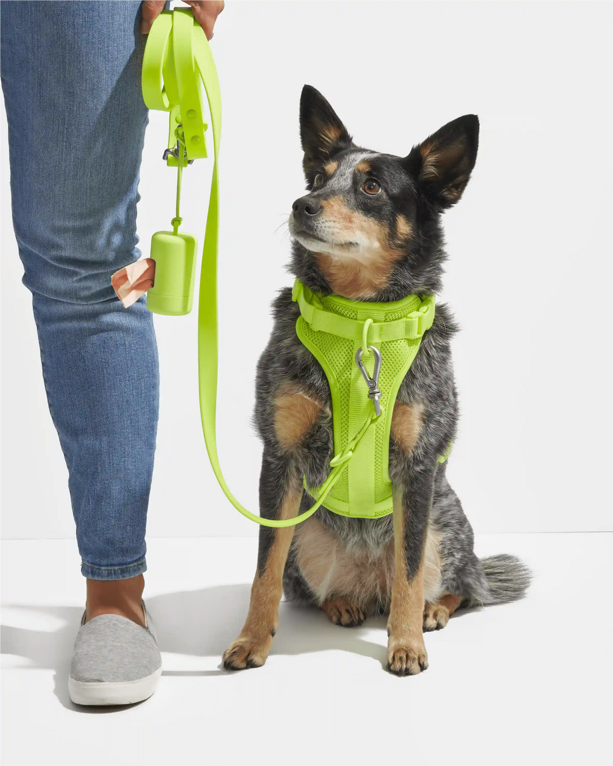 Waterproof Dog Leash