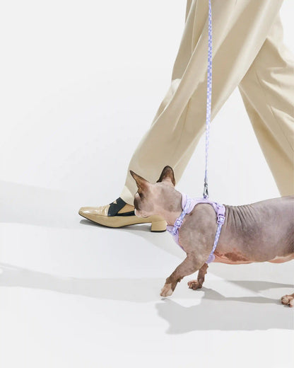 Cat Harness & Leash