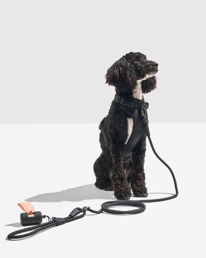 Hands-Free Rope Dog Leash