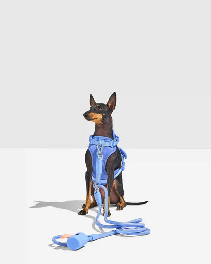 Hands-Free Rope Dog Leash