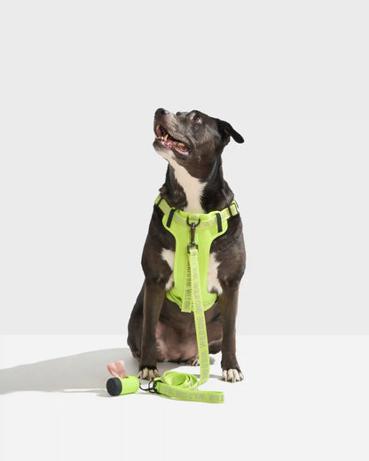 Lightweight Dog Leash