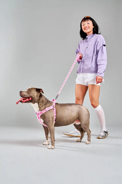 Step-In Dog Harness