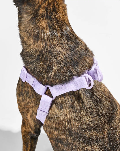 Step-In Dog Harness