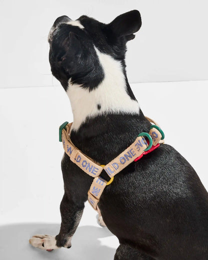 Step-In Dog Harness