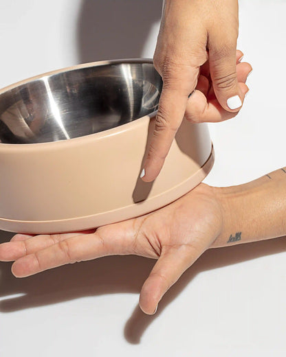 Dog Bowl