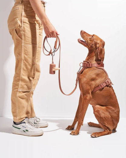 Cushioned Dog Harness