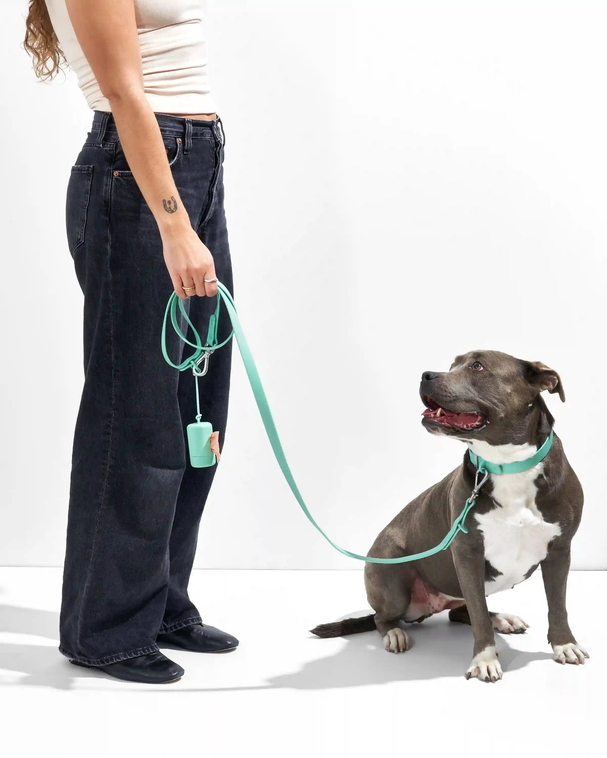 Waterproof Dog Collar