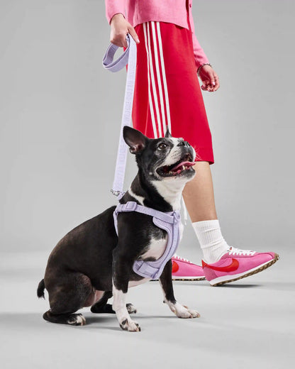 Step-In Dog Harness