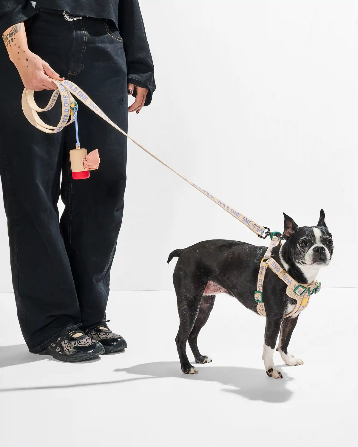 Lightweight Dog Leash