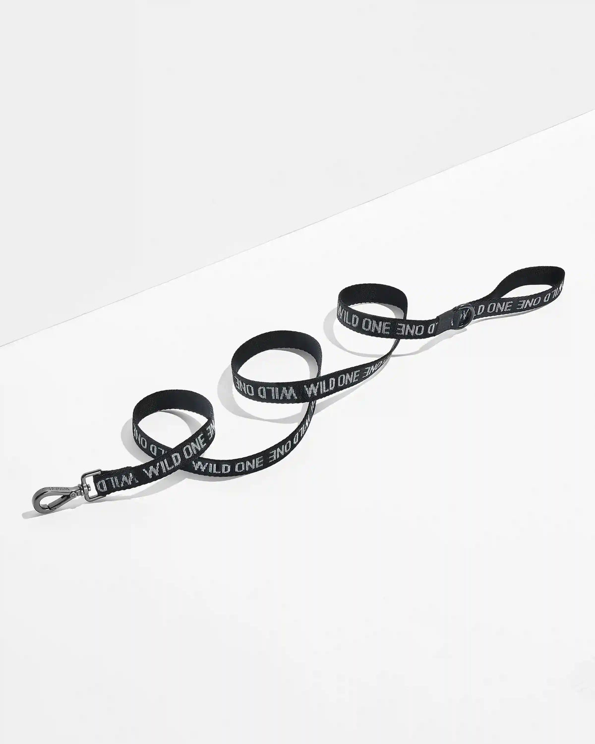 Cushioned Harness + Lightweight Leash Walk Kit