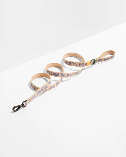 Lightweight Dog Leash
